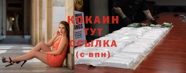 тгк Медногорск